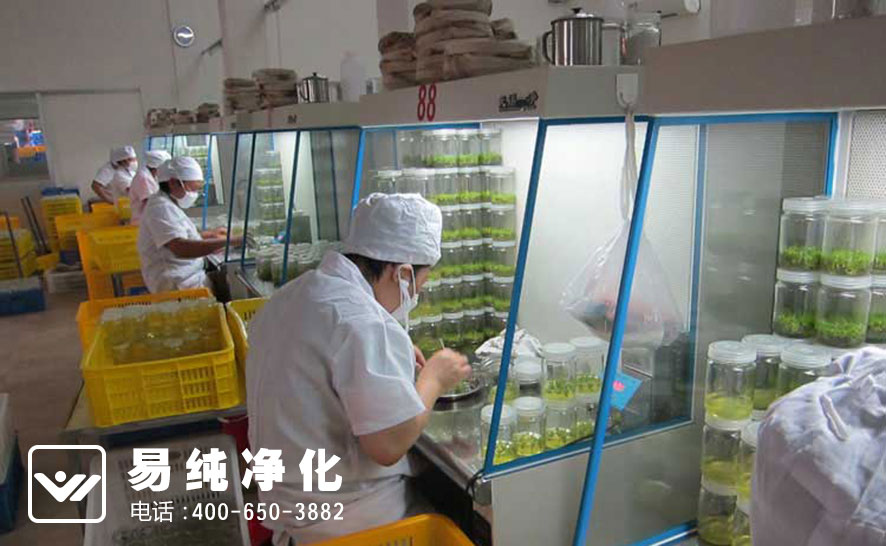 5食用菌接種組培車間.jpg 5食用菌接種組培車間.jpg