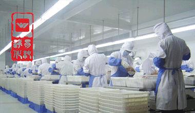 食品包裝凈化車間結(jié)構(gòu).gif 食品包裝凈化車間結(jié)構(gòu).gif